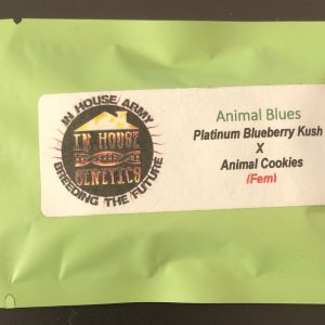 Animal Blues