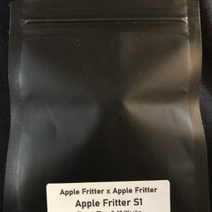 Apple Fritter S1