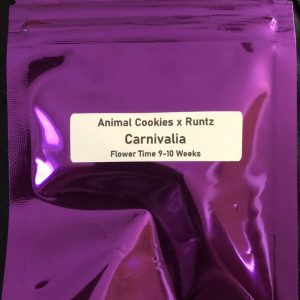 Carnivalia
