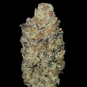 Frostbite 10pk Feminized